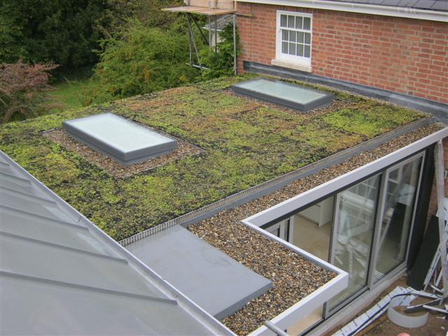 residential_green_roof