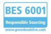 BES 6001 logo