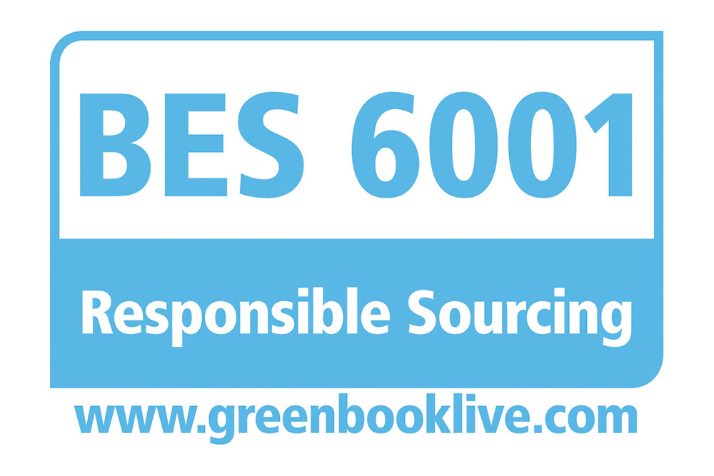 BES 6001 logo