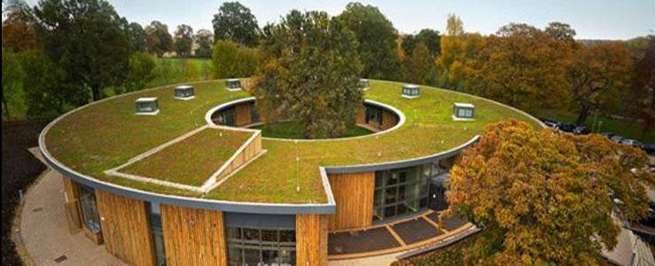 suds in green roofs