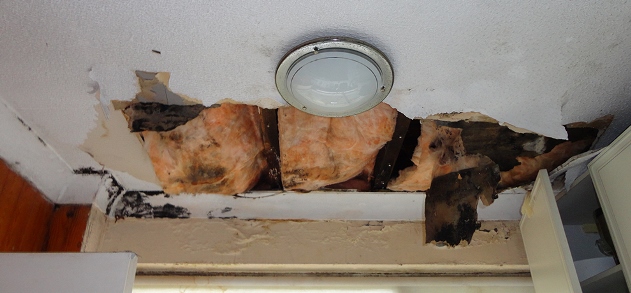 Failure due to poor ventilation of a “Cold Roof” design